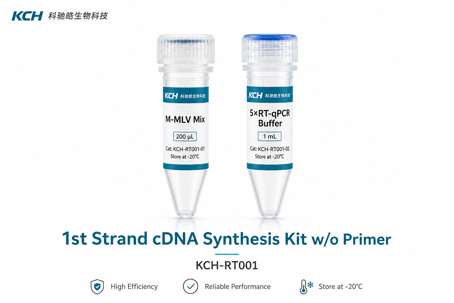 1st Strand cDNA Synthesis Kit w/o Primer