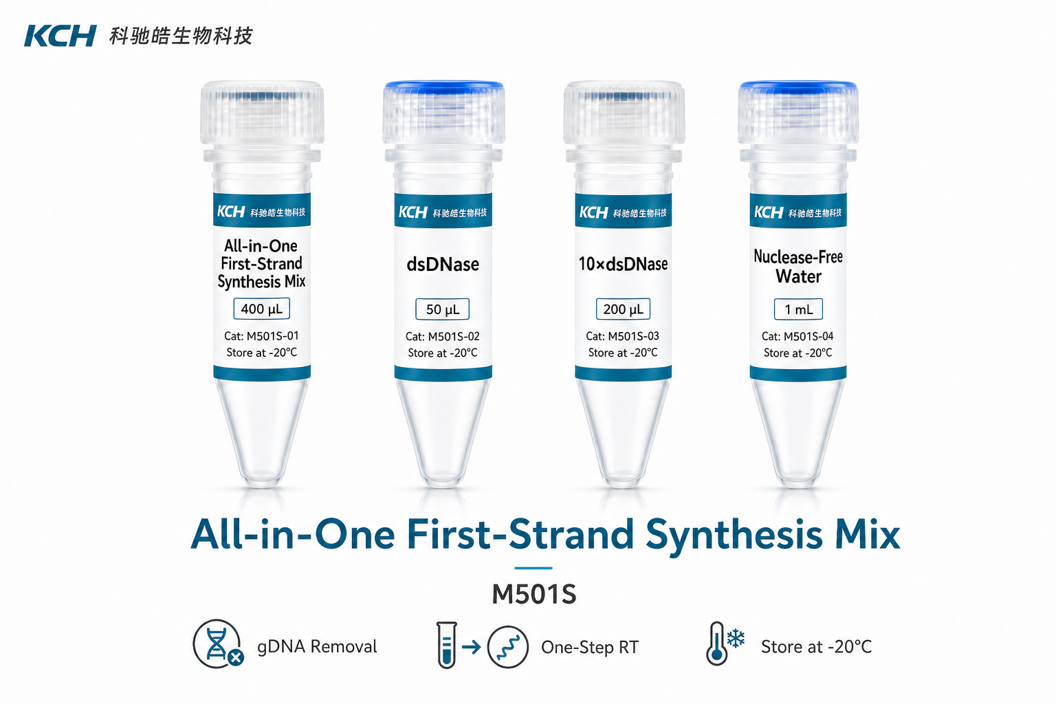 All-in-One First-Strand Synthesis Mix
